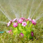 Melissa & Doug Sunny Patch Pretty Petals Flower Sprinkler Toy with Hose Attachment Toddler and Kids Outdoor Water Play Ages 3+ - Image 10